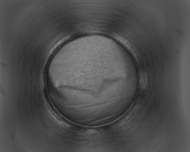 X0000090500390200708031214