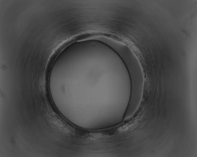 X0000090500391200708031214