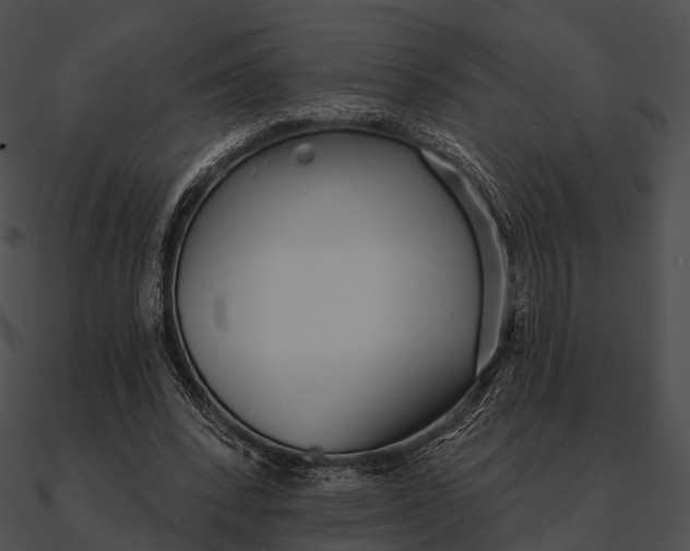 X0000090500392200708031214