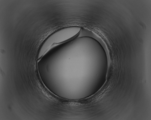 X0000090500393200708031214