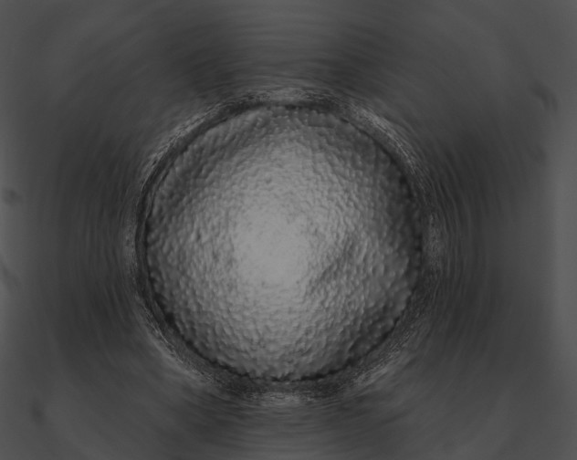 X0000090500394200708031214