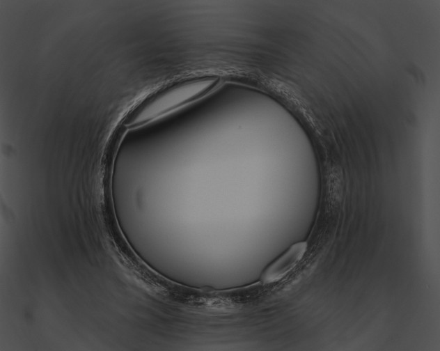 X0000090500395200708031214