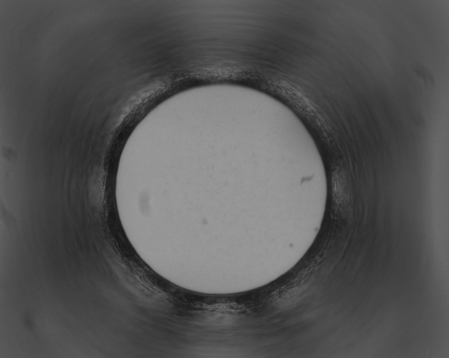 X0000090500396200708031214