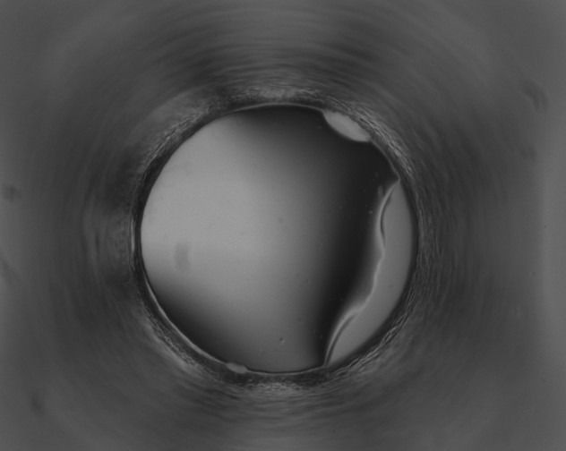 X0000090500397200708031214