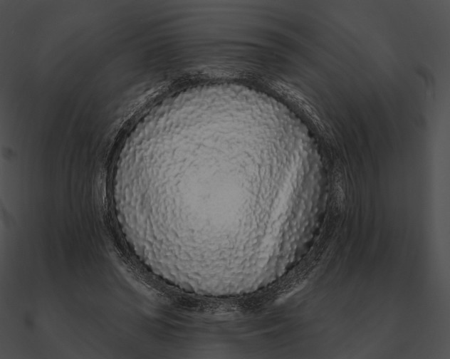 X0000090500398200708031214