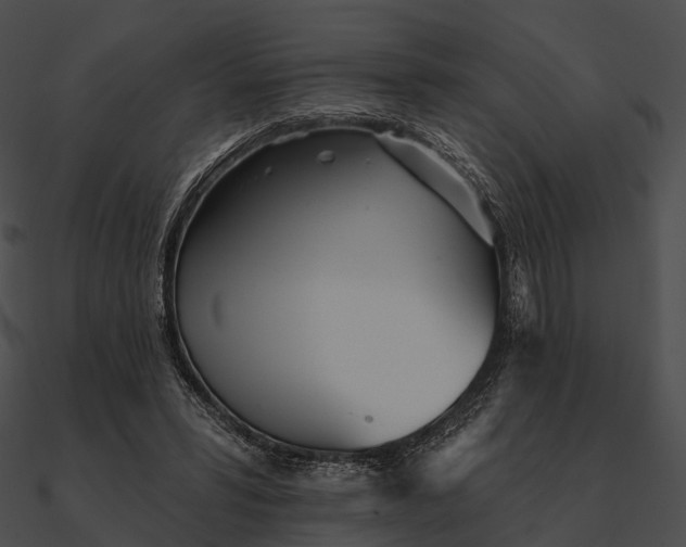 X0000090500399200708031214