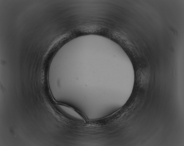 X0000090500400200708031214