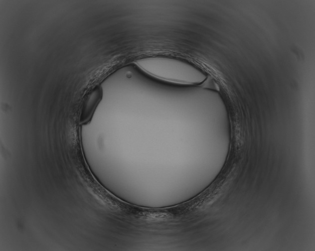 X0000090500401200708031214