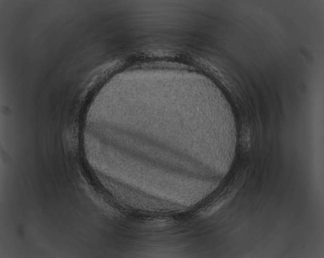 X0000090500402200708031214