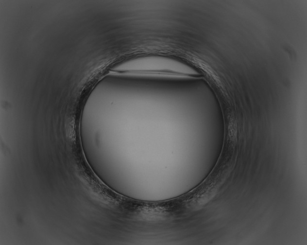 X0000090500403200708031213