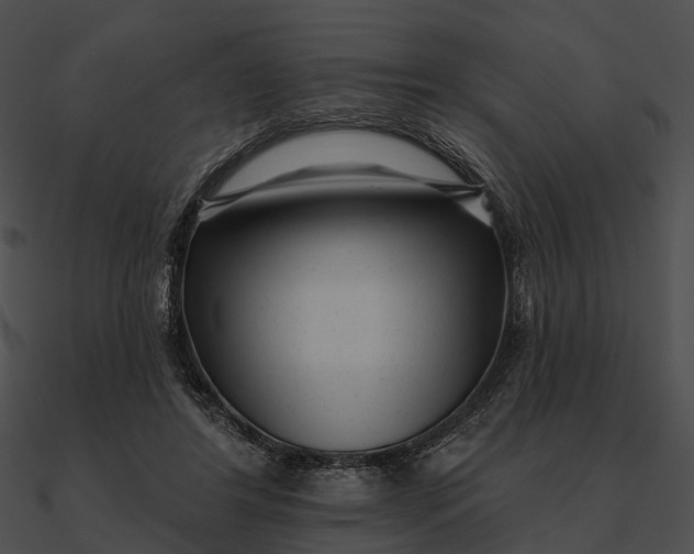 X0000090500404200708031213