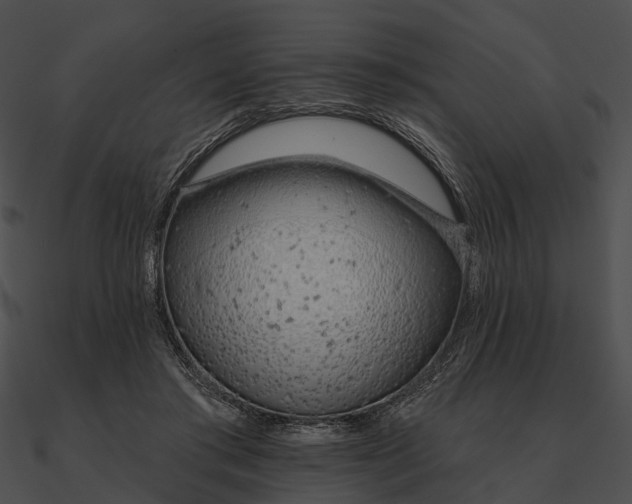 X0000090500405200708031213