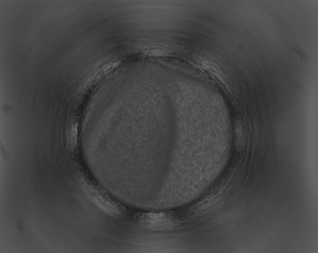 X0000090500406200708031213