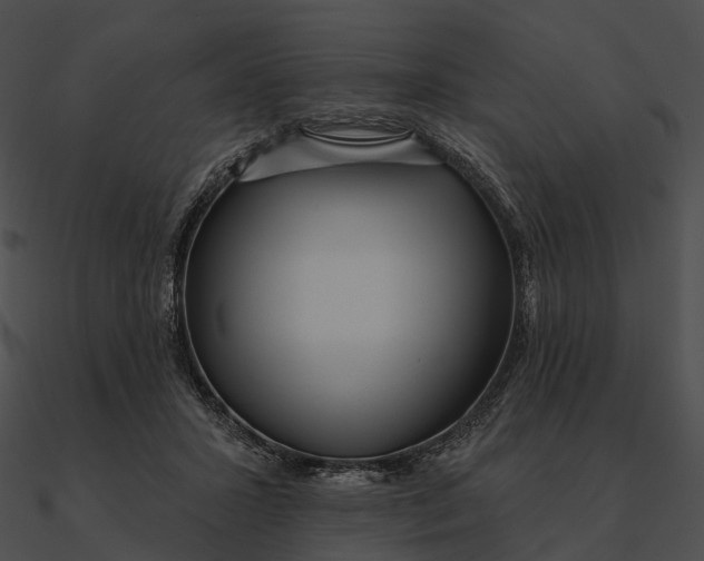 X0000090500407200708031213