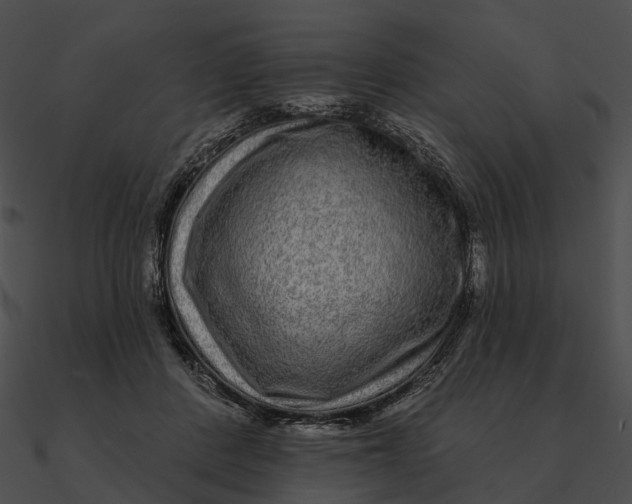 X0000090500408200708031213