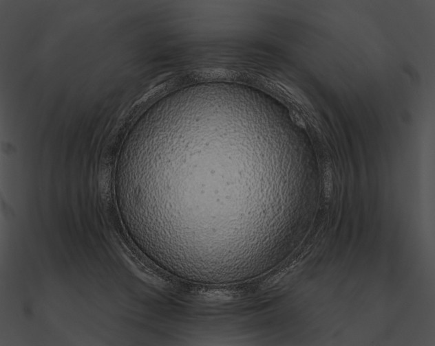 X0000090500409200708031213