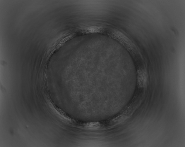 X0000090500410200708031213