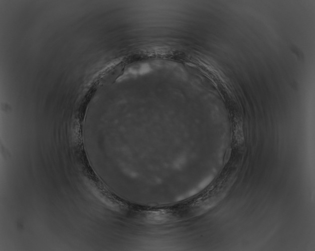 X0000090500411200708031213