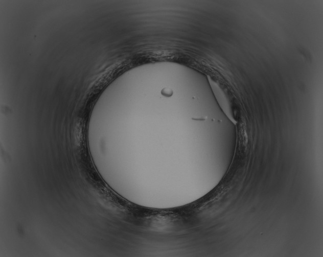 X0000090500412200708031213