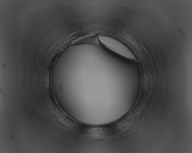 X0000090500413200708031213