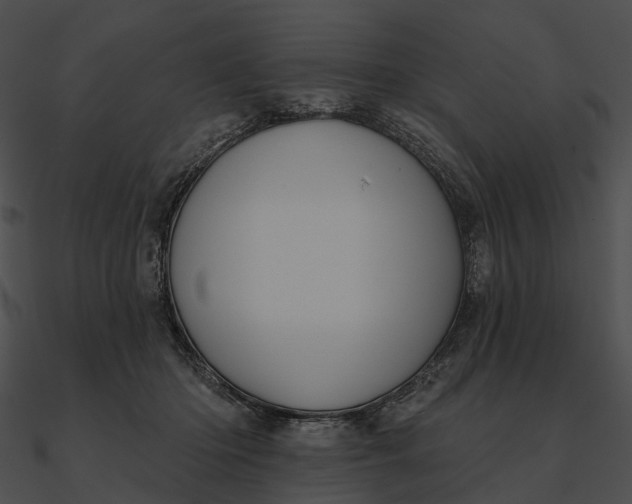 X0000090500414200708031213