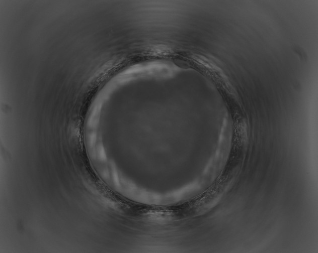 X0000090500415200708031213