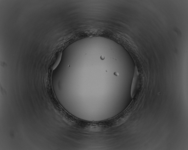 X0000090500416200708031213