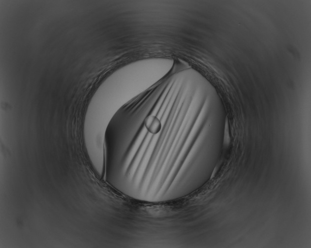 X0000090500417200708031213