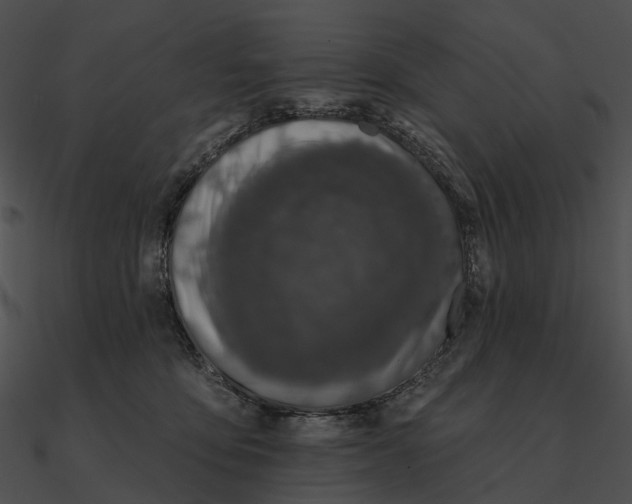 X0000090500419200708031213