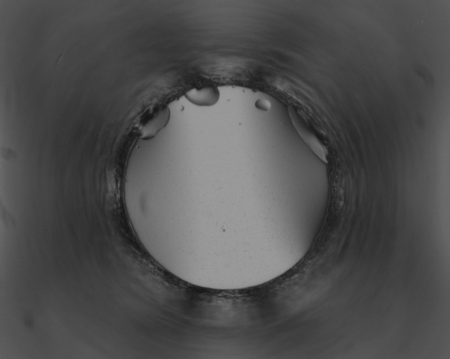 X0000090500420200708031213