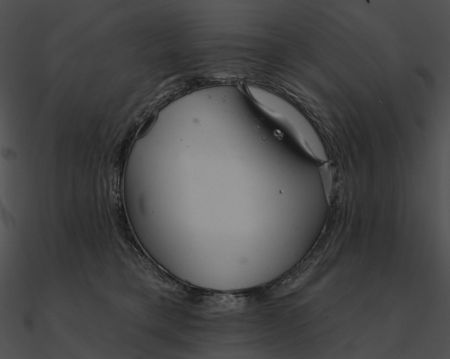 X0000090500421200708031213