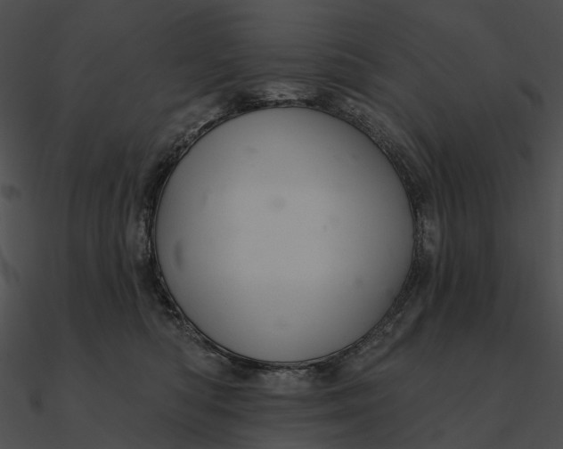 X0000090500422200708031213