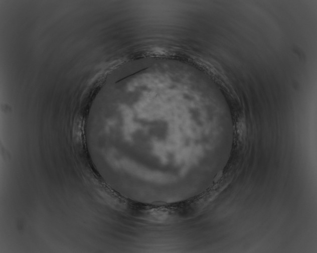 X0000090500423200708031213