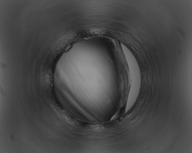 X0000090500424200708031213