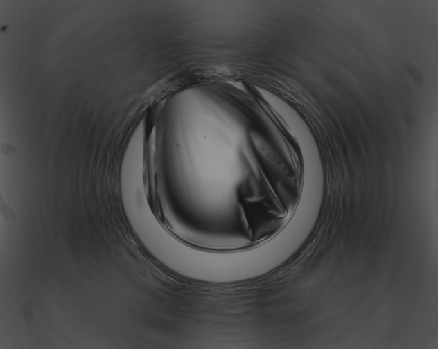 X0000090500425200708031213