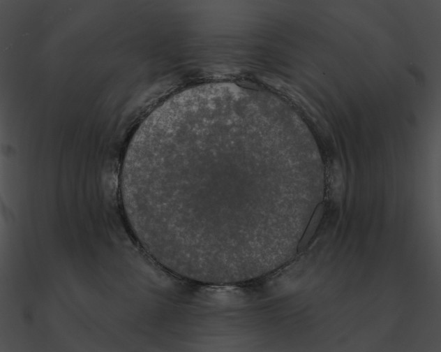 X0000090500427200708031213