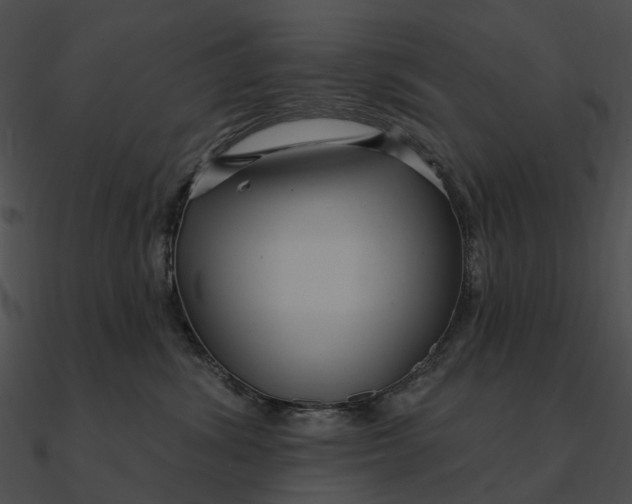 X0000090500428200708031213