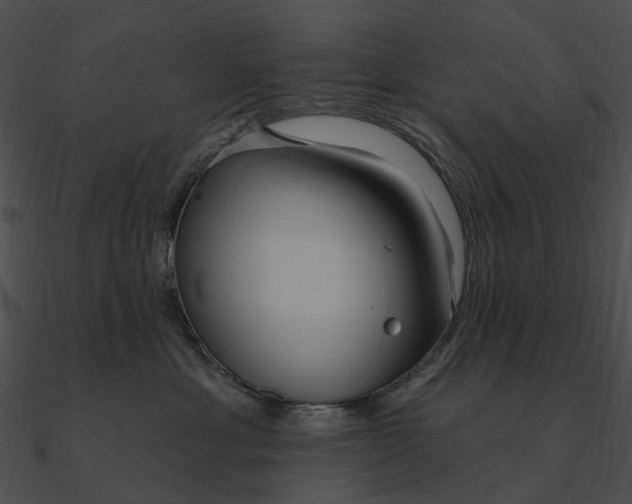 X0000090500429200708031213