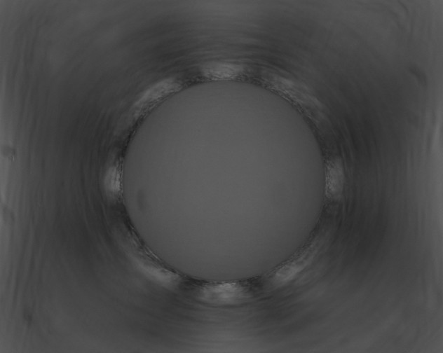 X0000090500431200708031213