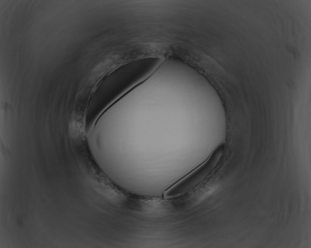 X0000090500432200708031213