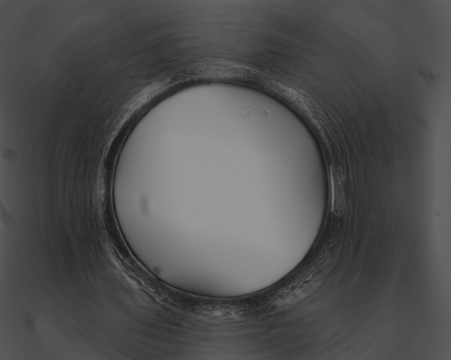 X0000090500435200708031213