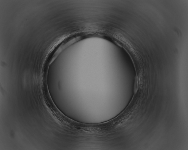 X0000090500436200708031213