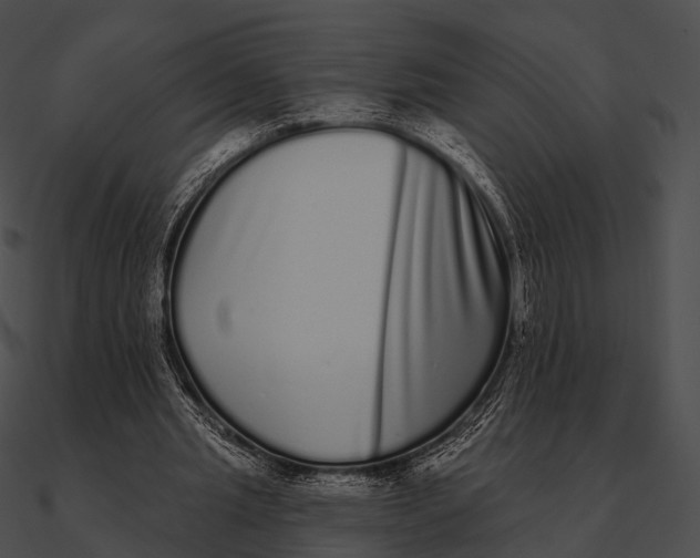 X0000090500437200708031213