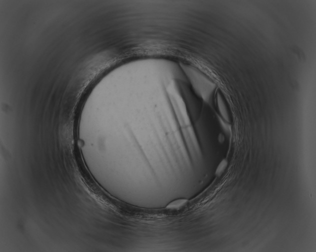 X0000090500438200708031213