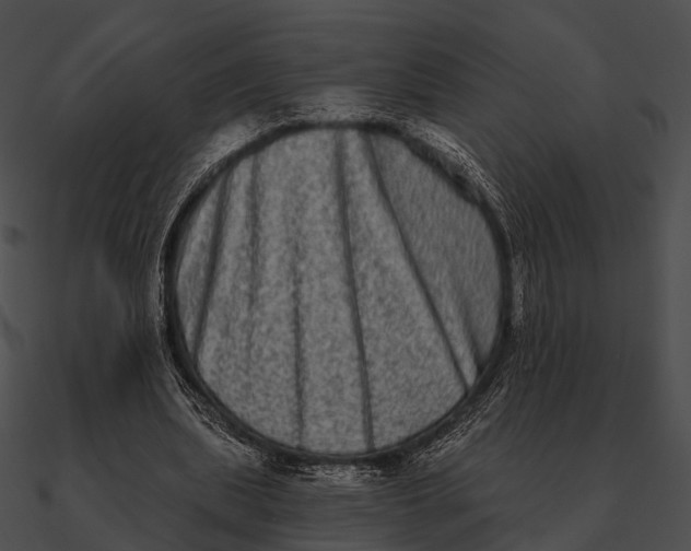 X0000090500439200708031213