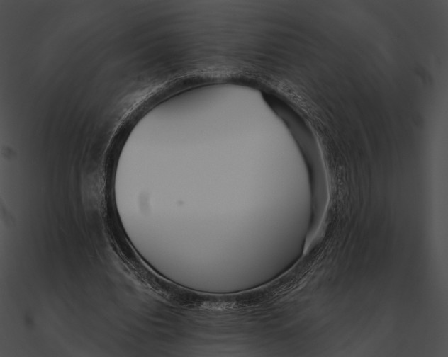 X0000090500440200708031213