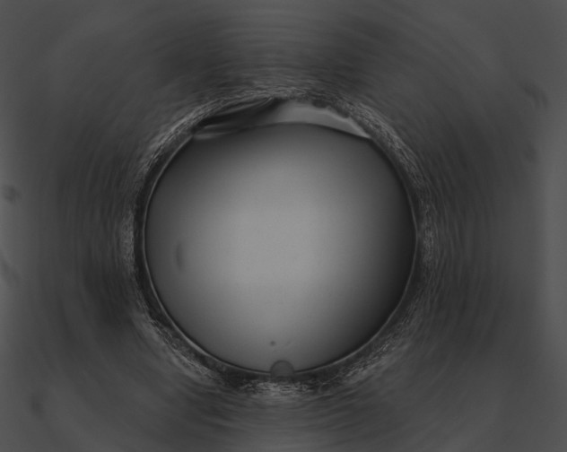 X0000090500442200708031213