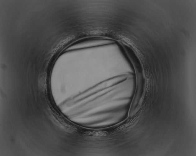 X0000090500443200708031213