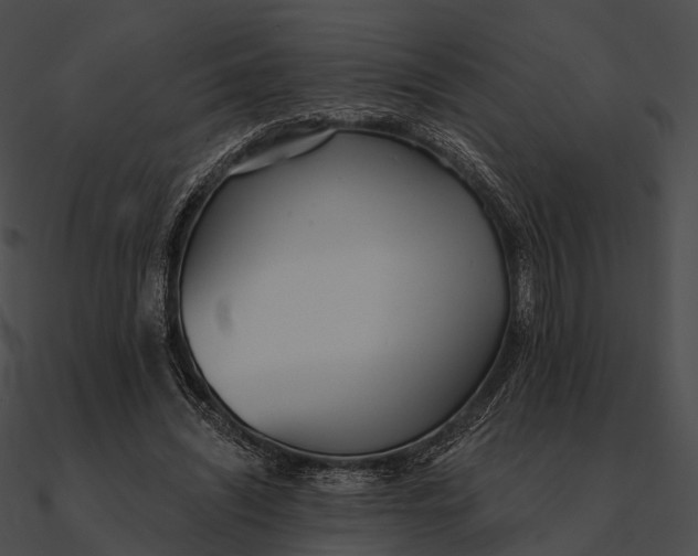 X0000090500444200708031213