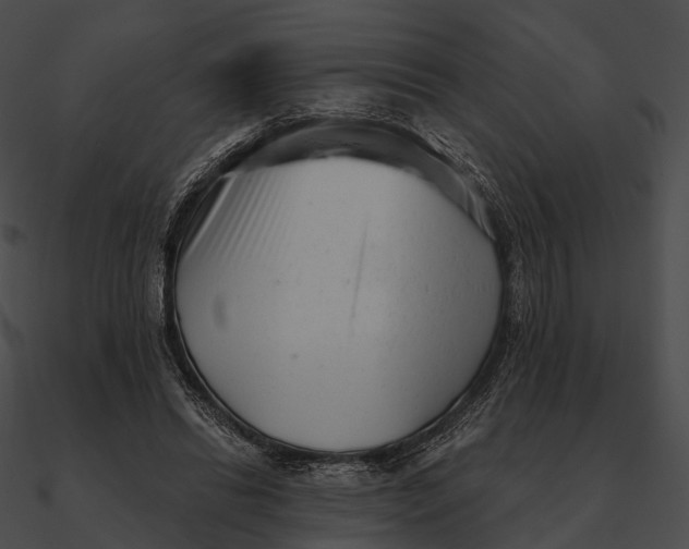 X0000090500446200708031213